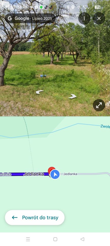Działka rolno-budowlana Jedlanka. Zdjęcie 2