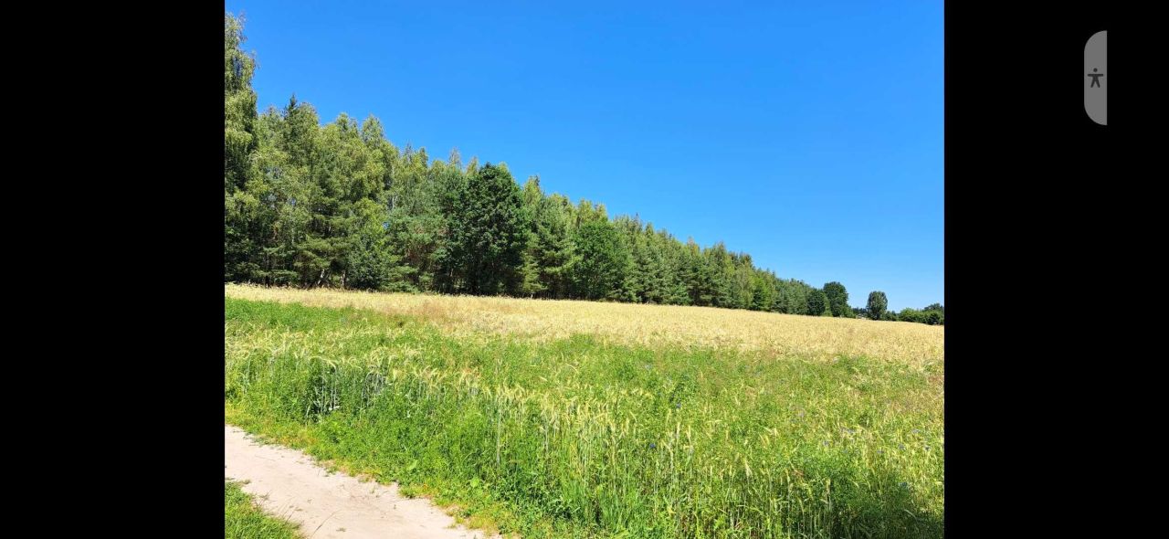 Działka rolna Wola Mieczysławska. Zdjęcie 2