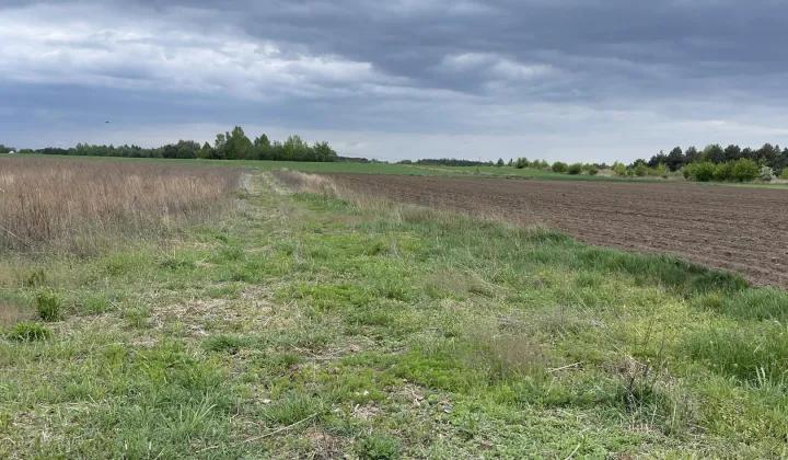 Działka budowlana Izbiska