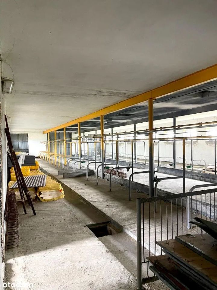 Hala/magazyn Rudniki. Zdjęcie 3