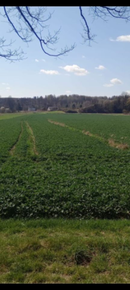 Działka rolna Nietulisko Małe. Zdjęcie 3