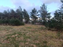 Działka budowlana Wylazłowo. Zdjęcie 4