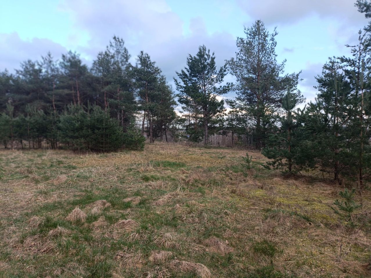 Działka budowlana Wylazłowo. Zdjęcie 5