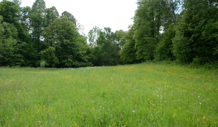 Działka budowlana Skwirtne