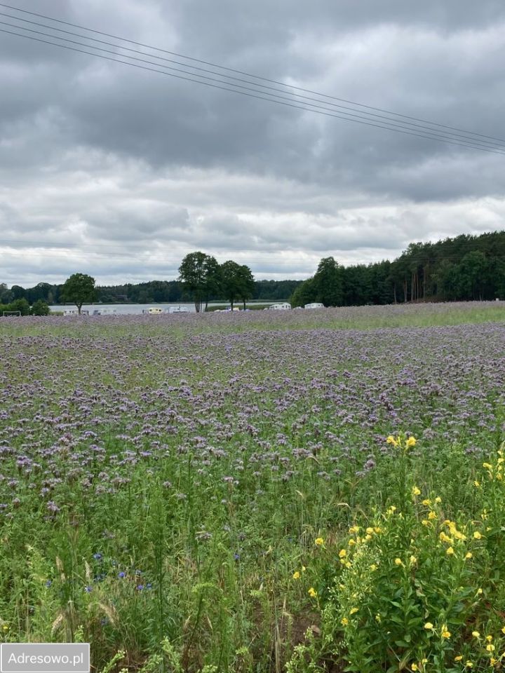 dom wolnostojący, 2 pokoje Słupia. Zdjęcie 9