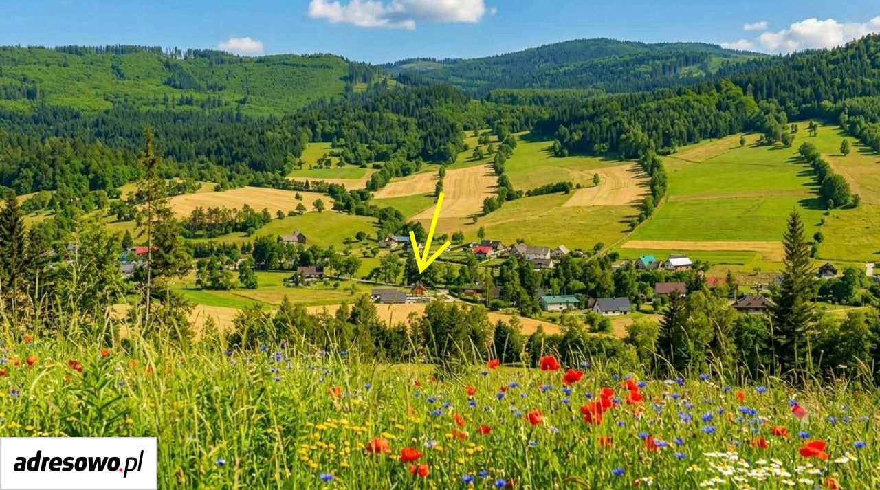 dom wolnostojący, 3 pokoje Stary Gierałtów. Zdjęcie 2