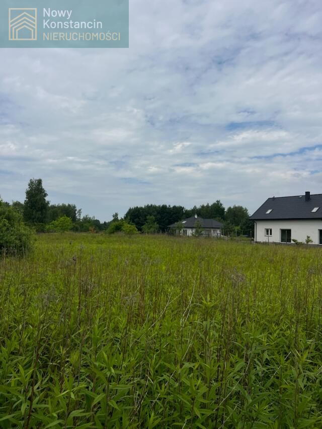 Działka budowlana Borowina. Zdjęcie 1
