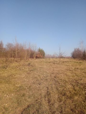 Działka budowlana Nowe Orzechowo. Zdjęcie 1