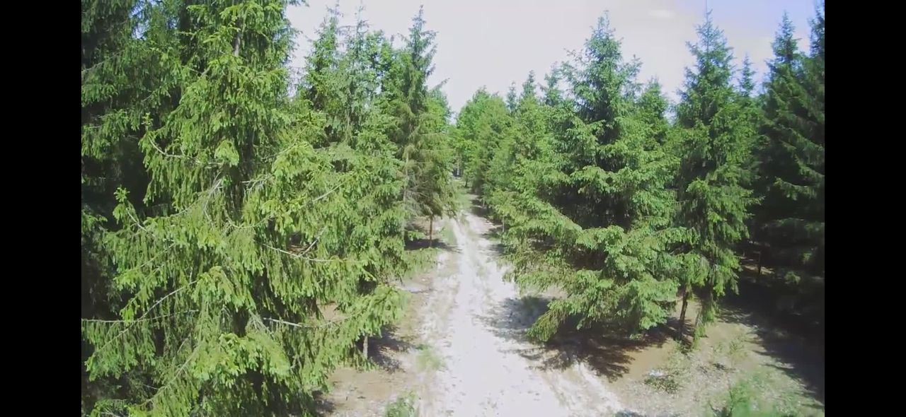 Działka budowlana Studnie. Zdjęcie 11