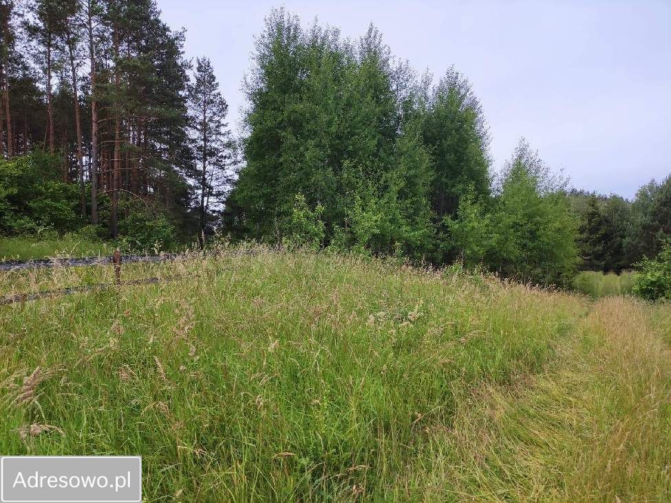 Działka rolna Rostki Skomackie. Zdjęcie 8