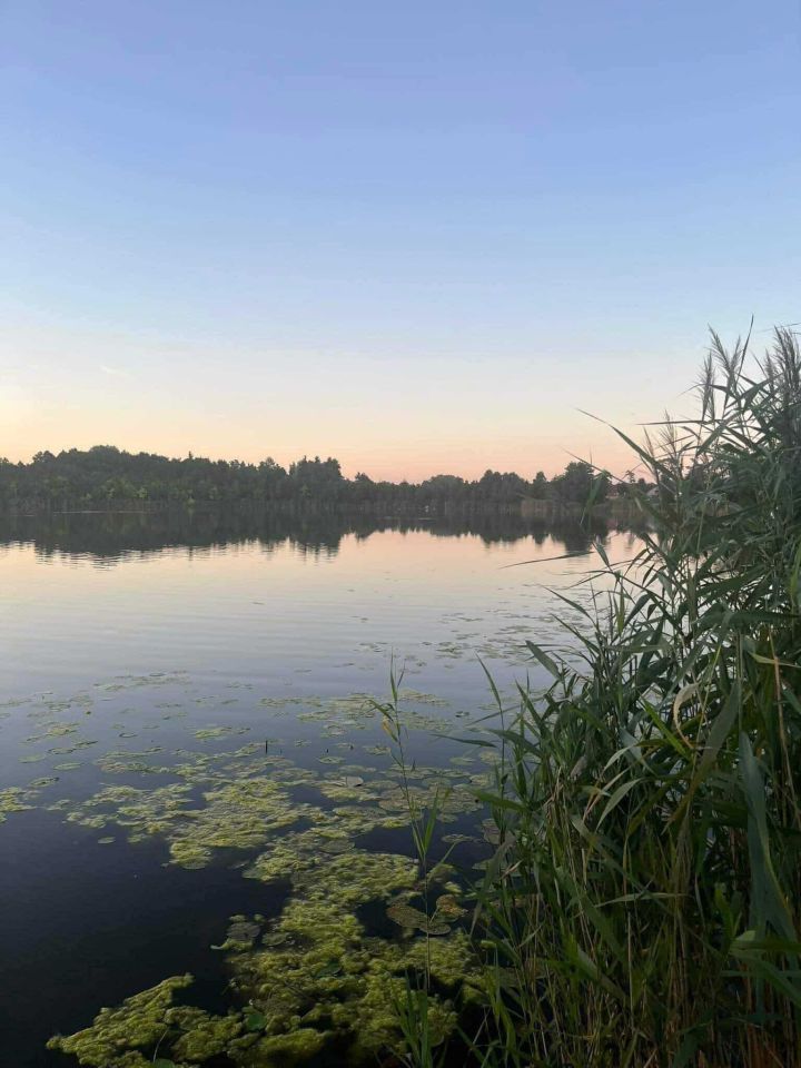 Działka budowlana Błędowo, ul. Sielawy. Zdjęcie 18
