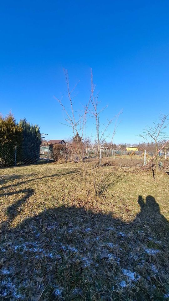 Działka rod Jelcz-Laskowice, ul. Działkowa. Zdjęcie 7