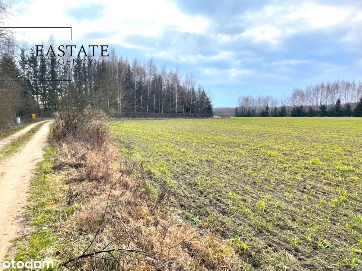 Działka inwestycyjna Harsz. Zdjęcie 6