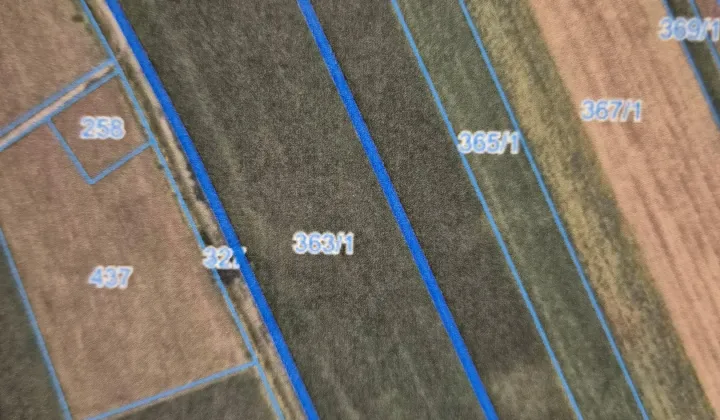 Działka rolna Drybus, Drybus