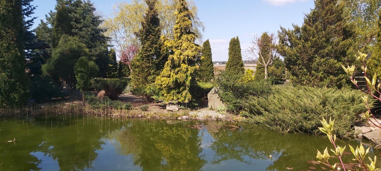 dom wolnostojący, 4 pokoje Kleszczyna. Zdjęcie 21