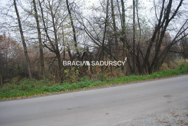 Działka rolna Libertów. Zdjęcie 3