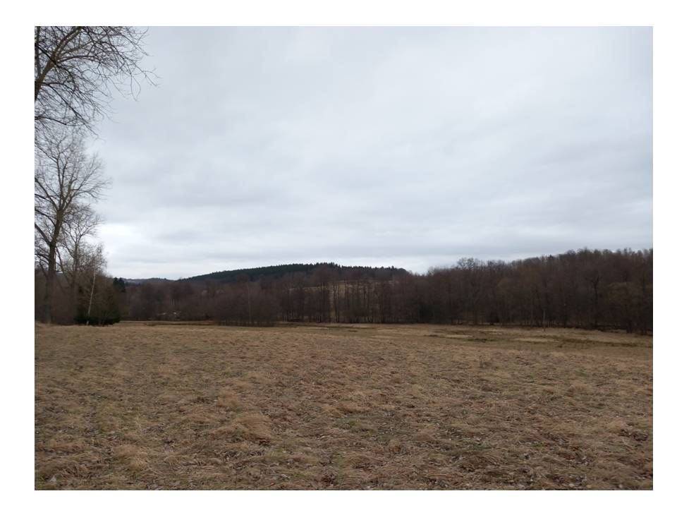 Działka budowlana Starkówek. Zdjęcie 6