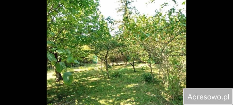 Działka rod Wrocław Tarnogaj, ul. Bardzka. Zdjęcie 4