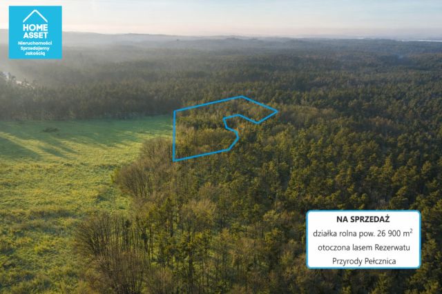 Działka rolna Bieszkowice. Zdjęcie 4