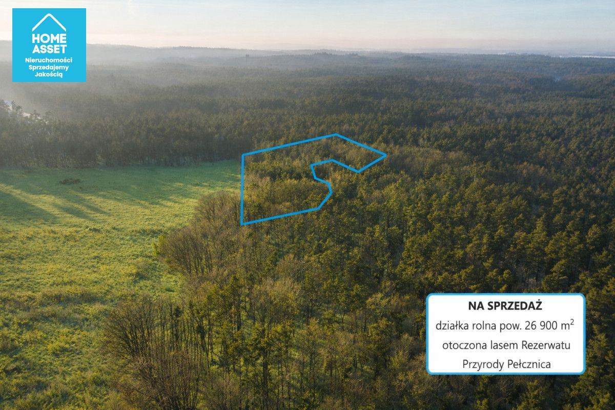 Działka rolna Bieszkowice. Zdjęcie 4