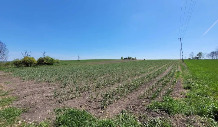 Działka budowlana Łętkowice