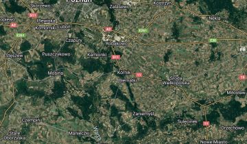 bliźniak Kórnik