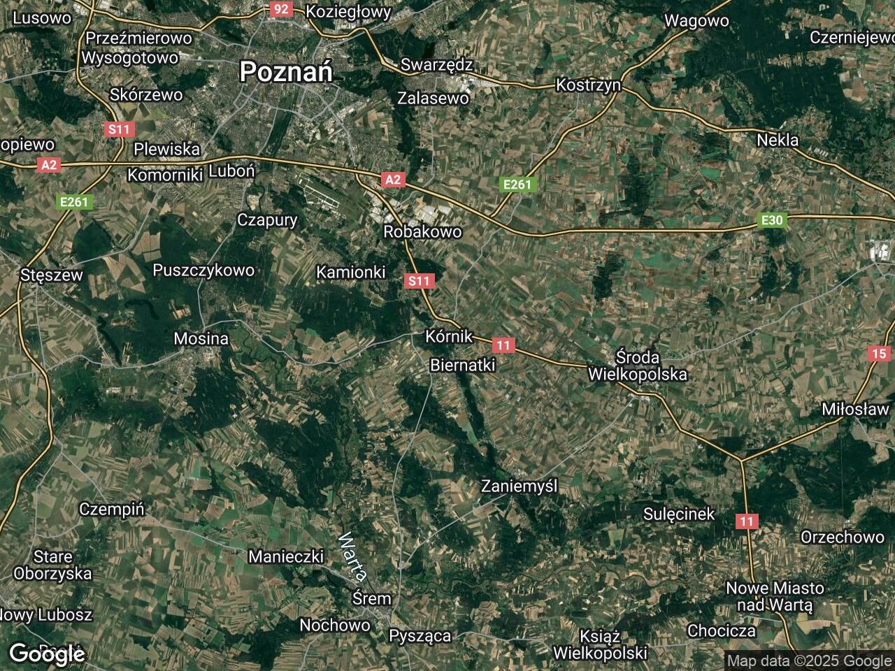bliźniak Kórnik