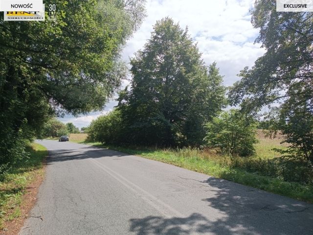 Działka rolna Długie. Zdjęcie 7