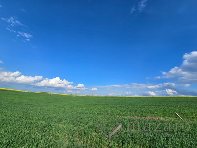 Działka budowlana Sicienko. Zdjęcie 2