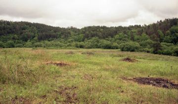 Działka rolna Witryłów