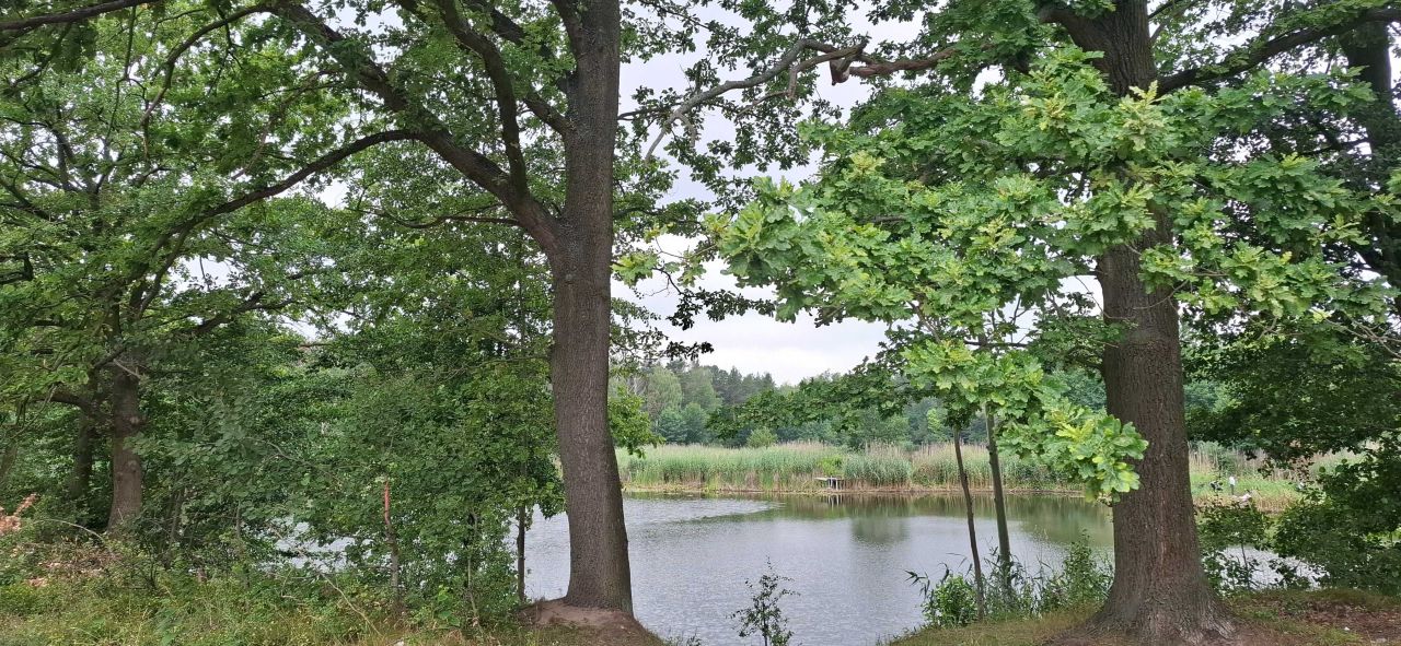 Mieszkanie 3-pokojowe Baniocha. Zdjęcie 6