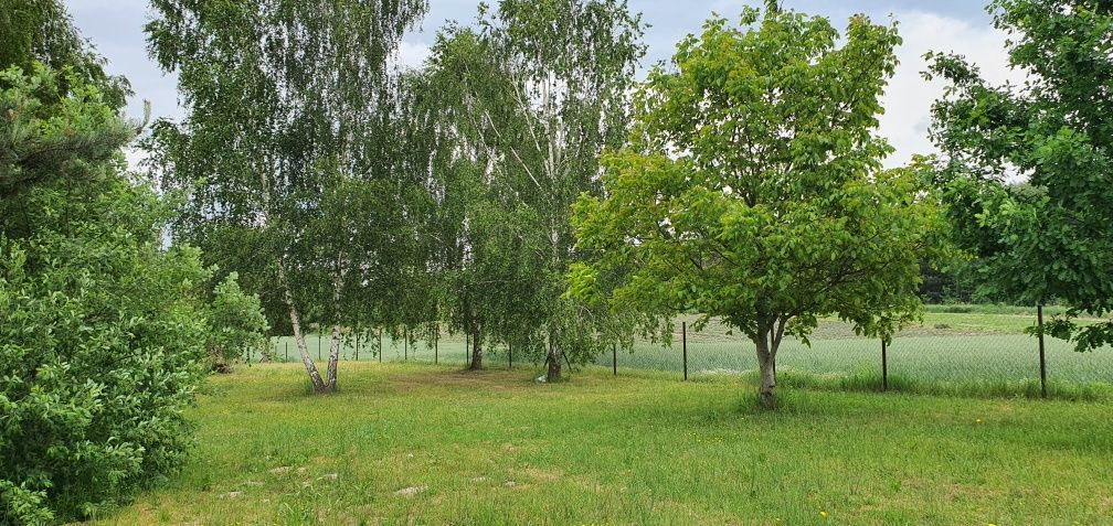Działka budowlana Wincentów. Zdjęcie 6