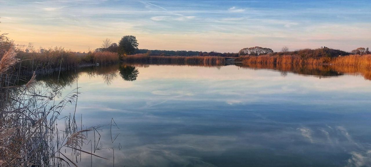 Działka siedliskowa Międzylesie, ul. Skowronkowa. Zdjęcie 5