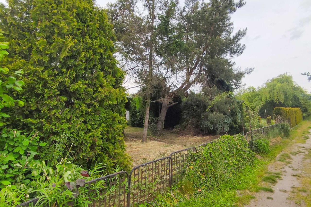 Działka rod Kościan. Zdjęcie 7