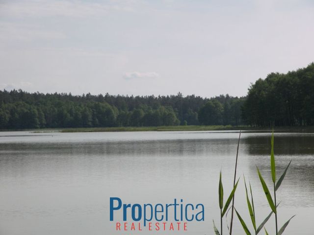 dom wolnostojący, 3 pokoje Natać Wielka. Zdjęcie 4