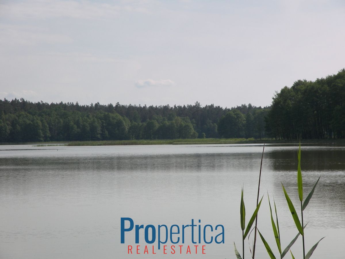 dom wolnostojący, 3 pokoje Natać Wielka. Zdjęcie 4