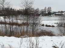 Działka rolno-budowlana Szumsko-Kolonie. Zdjęcie 3