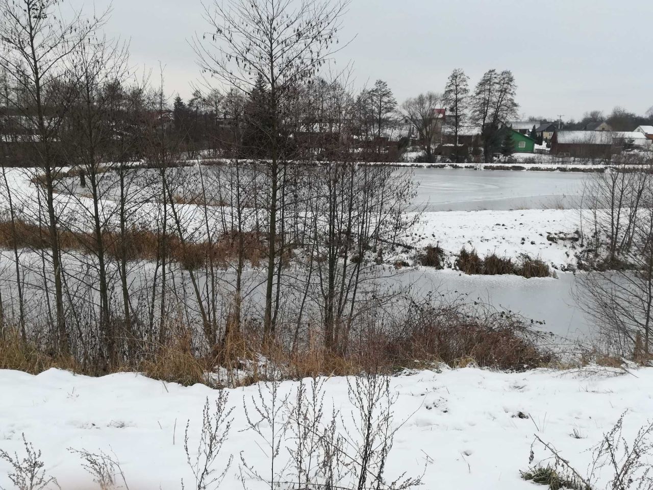 Działka rolno-budowlana Szumsko-Kolonie. Zdjęcie 4