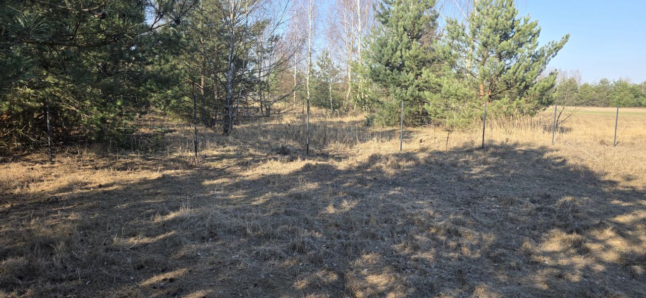 Działka budowlana Sokolniki, ul. Sierpecka. Zdjęcie 15