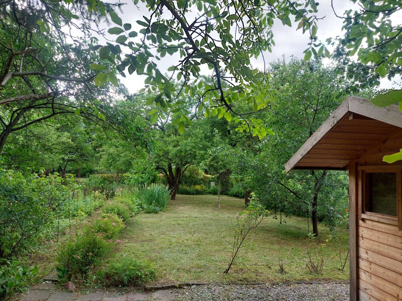 Działka rod Warszawa Szczęśliwice. Zdjęcie 2