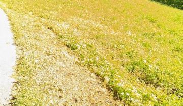 Działka budowlana Dąbrówka Szczepanowska