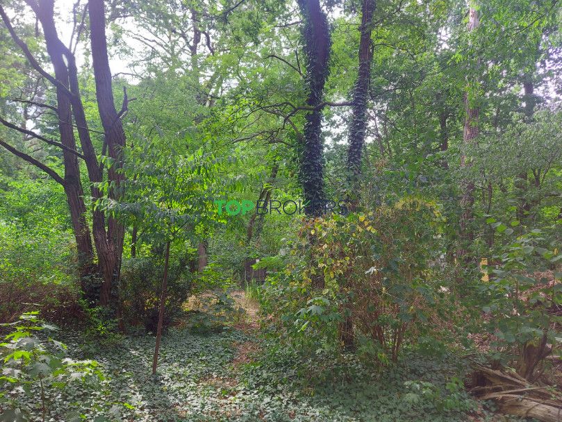 Działka budowlana Milanówek. Zdjęcie 4