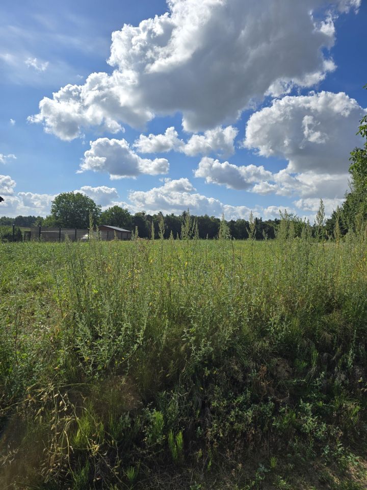 Działka rolno-budowlana Stok. Zdjęcie 3