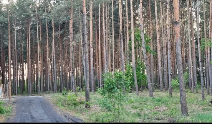 Działka budowlana Solec Kujawski, ul. Garbary