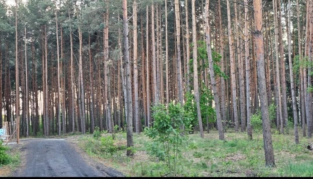 Działka budowlana Solec Kujawski, ul. Garbary. Zdjęcie 1