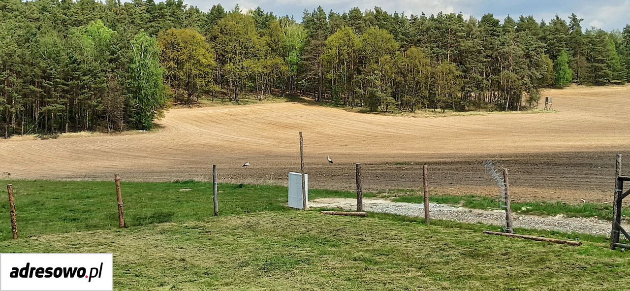 dom wolnostojący, 5 pokoi Zawonia, ul. Lawendowa. Zdjęcie 18