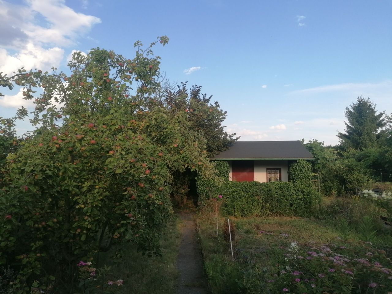 Działka rod Wrocław Krzyki