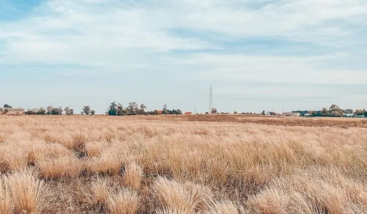 Działka budowlana Barcin-Wieś