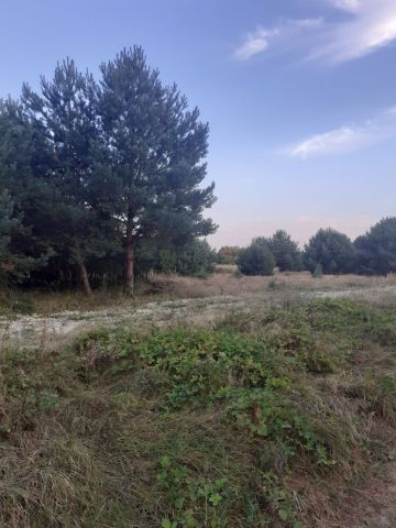 Działka budowlana Dąbrówka Warszawska. Zdjęcie 1