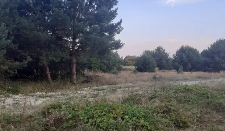 Działka budowlana Dąbrówka Warszawska